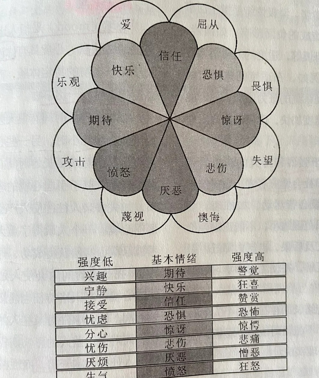 什么是情绪的外在表现：带你了解情绪表达方式