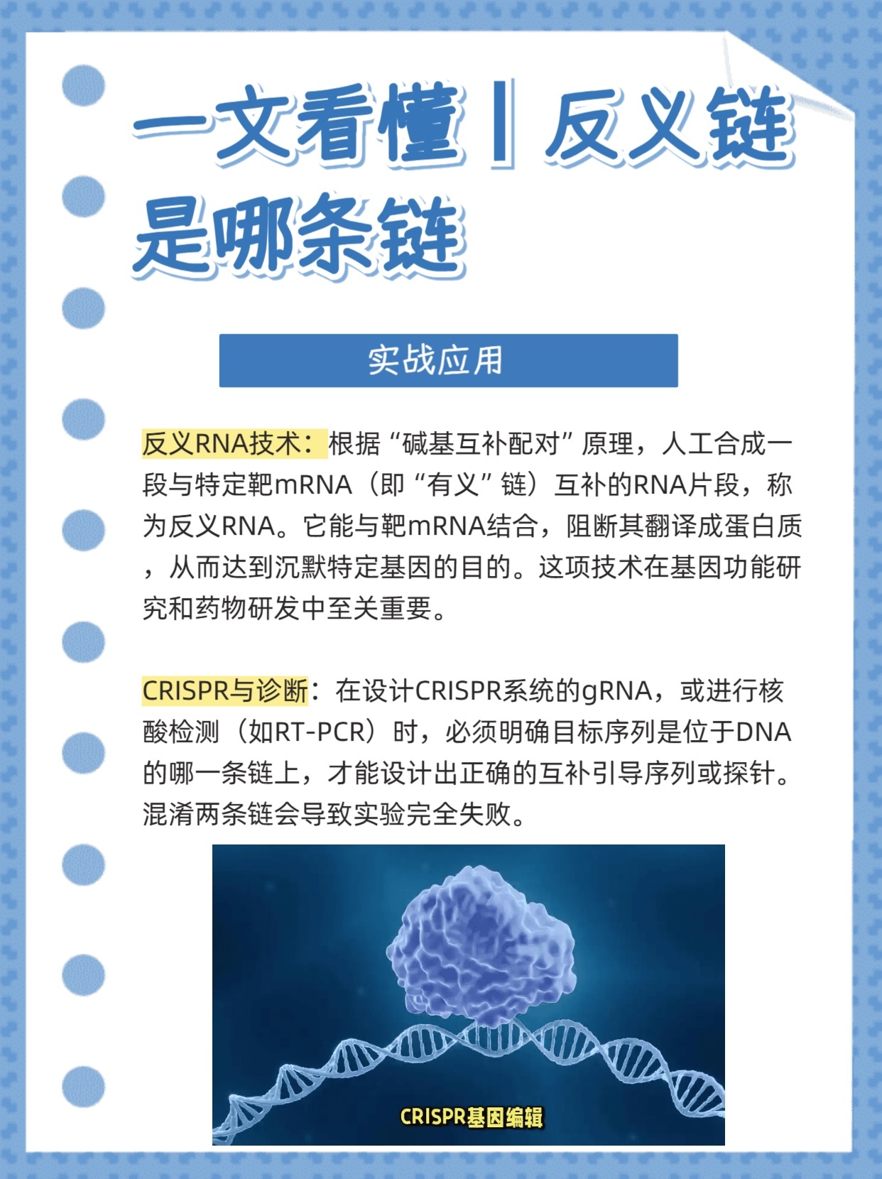 一文看懂丨反义链是哪条链