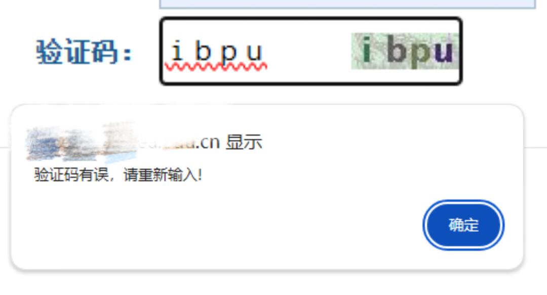 电脑输入验证码大写英文闪退怎么办啊