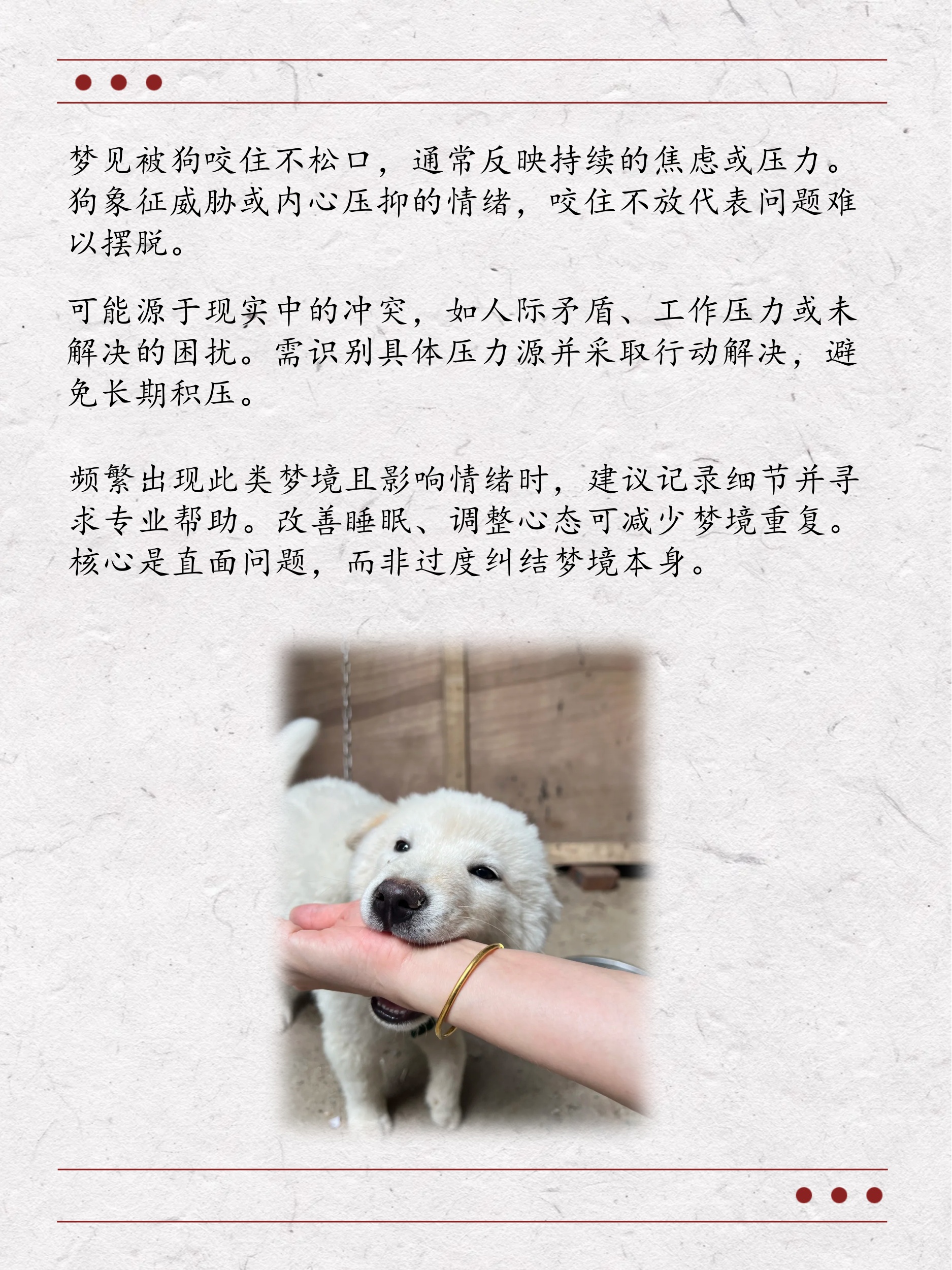 解读梦境密码，梦到被狗咬的数字寓意与心理分析