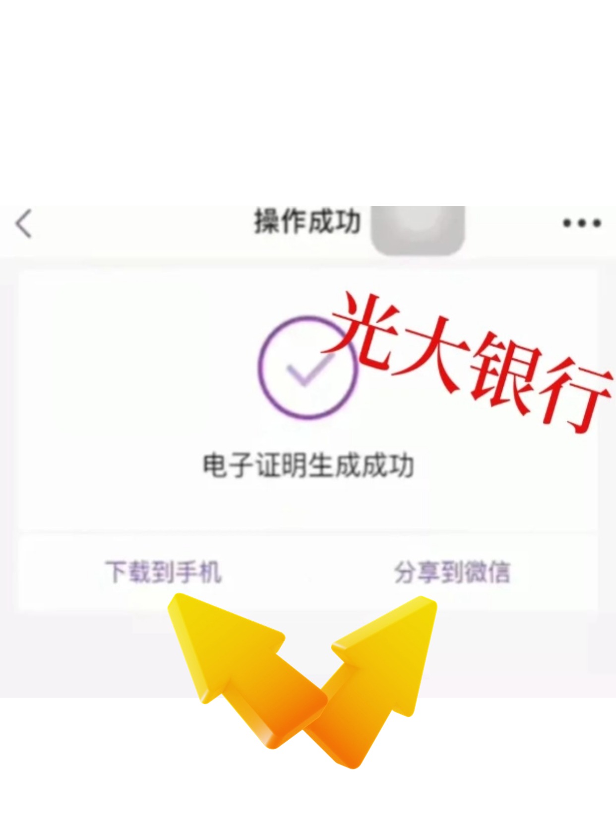 光大银行app流水下载攻略大公开！