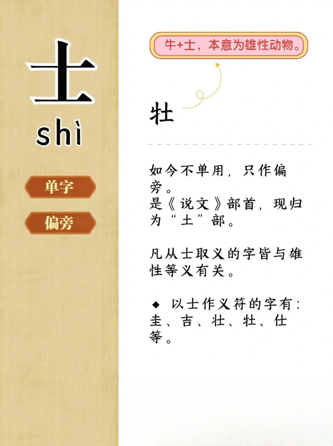 详细的介绍士字