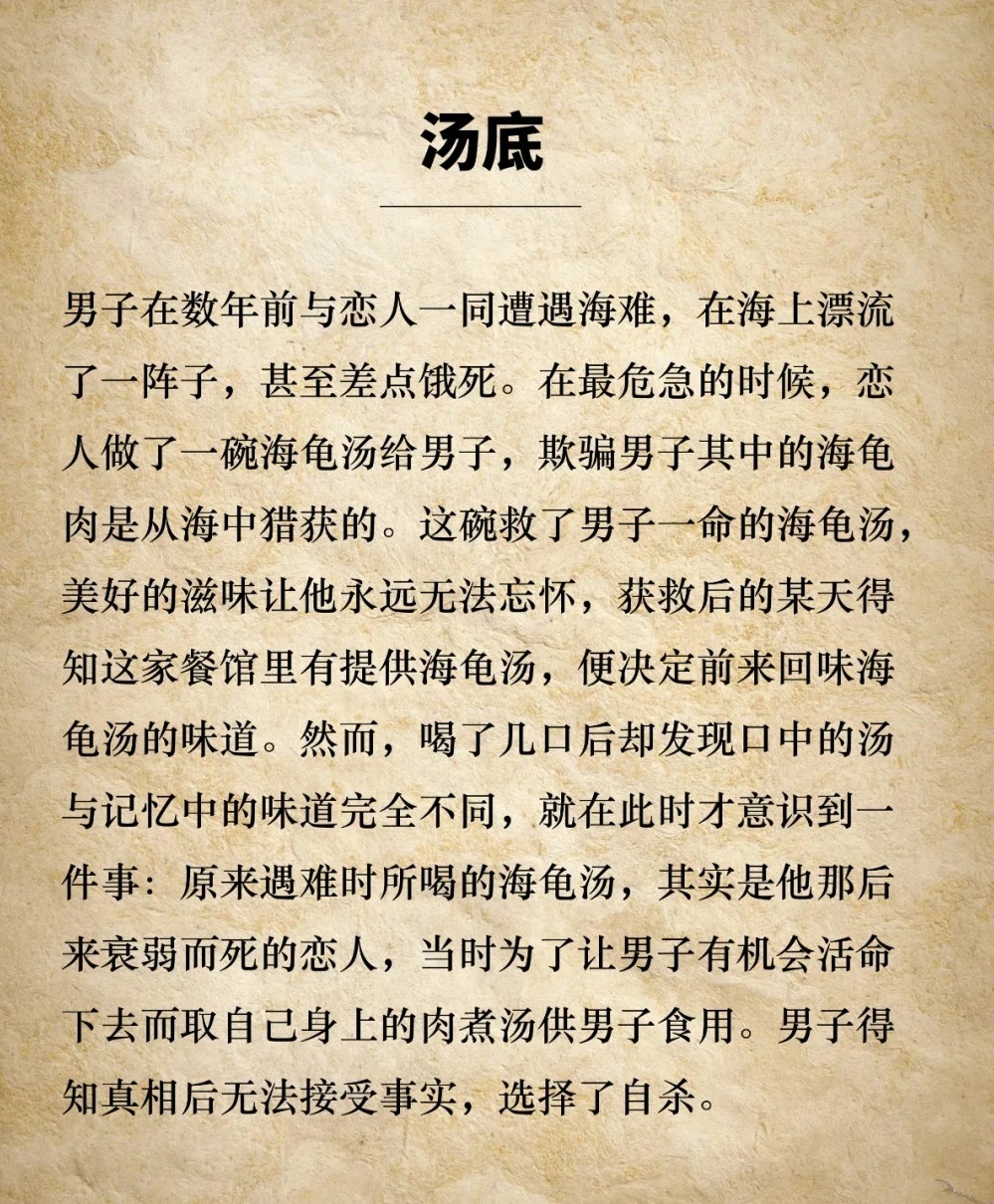 海龟汤是什么  第1张