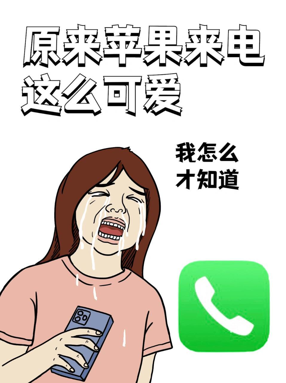 苹果短信自带表情包意思