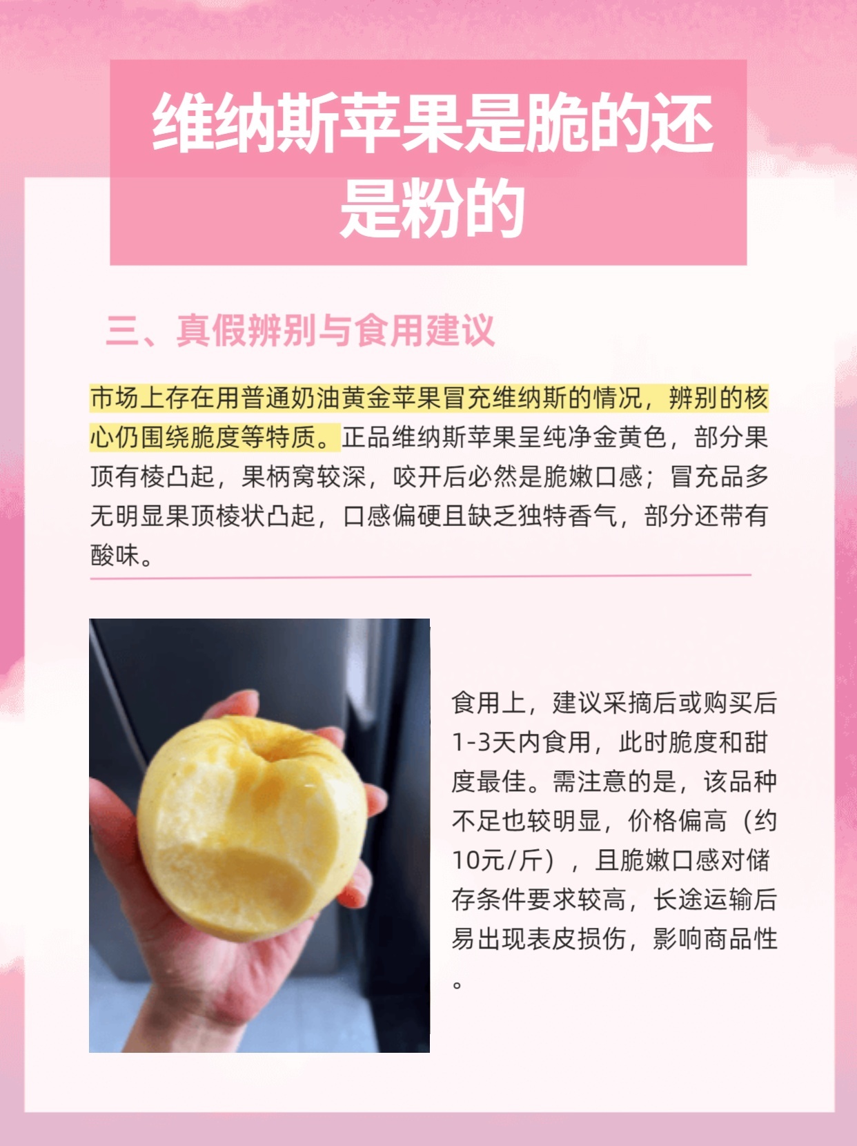 维纳斯苹果批发价格查询