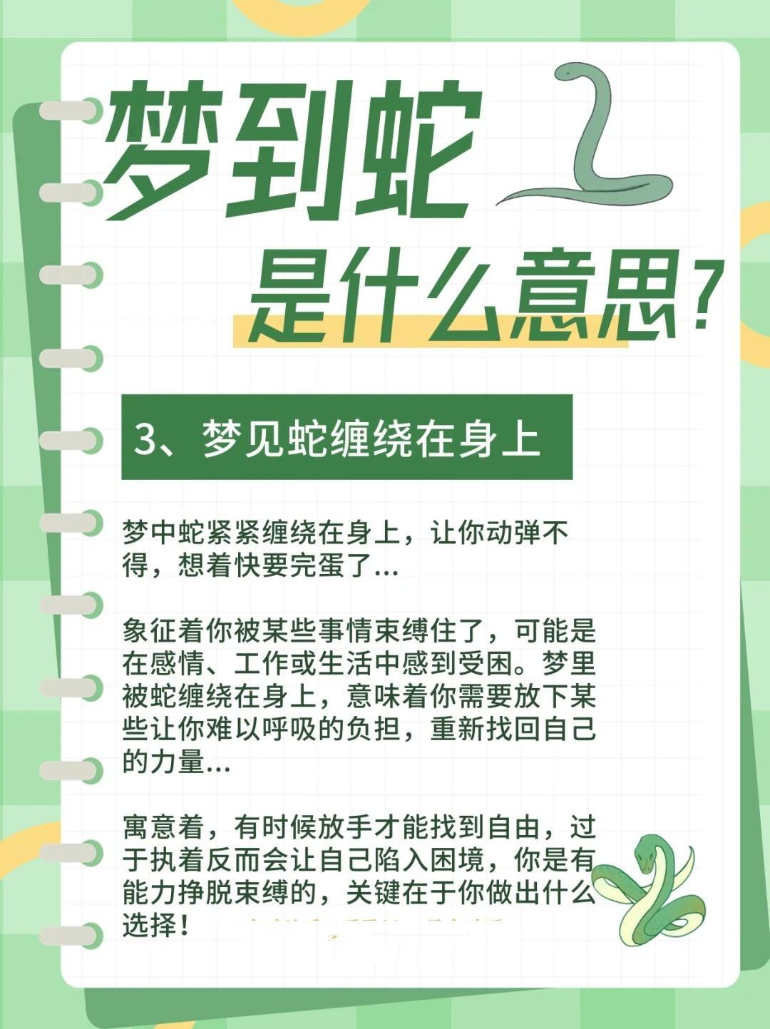 梦境迷踪，解析梦中橘蓝交织的蛇之谜