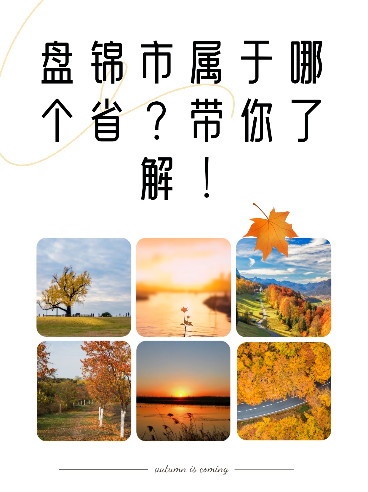 盘锦市属于哪个省？带你了解！