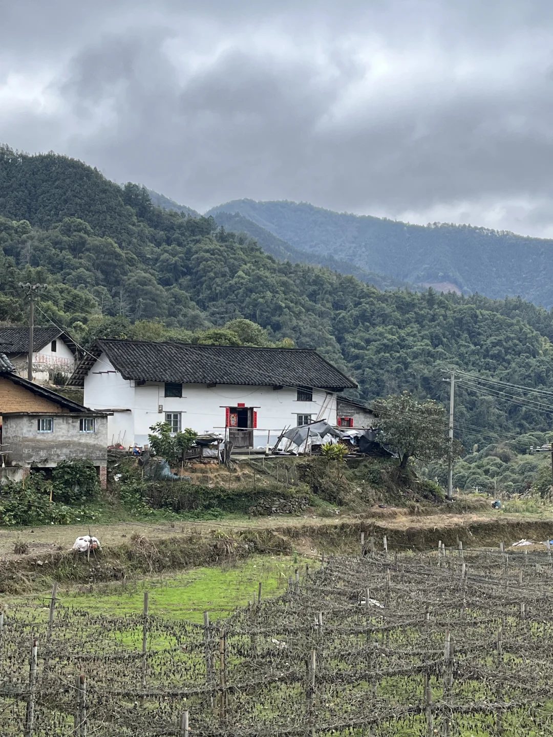 【故乡】永福·龙江·龙山村