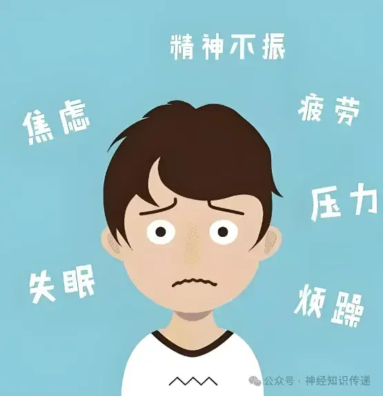 植物神经紊乱与焦虑症，如双生花般相似却不同，你能分清吗？