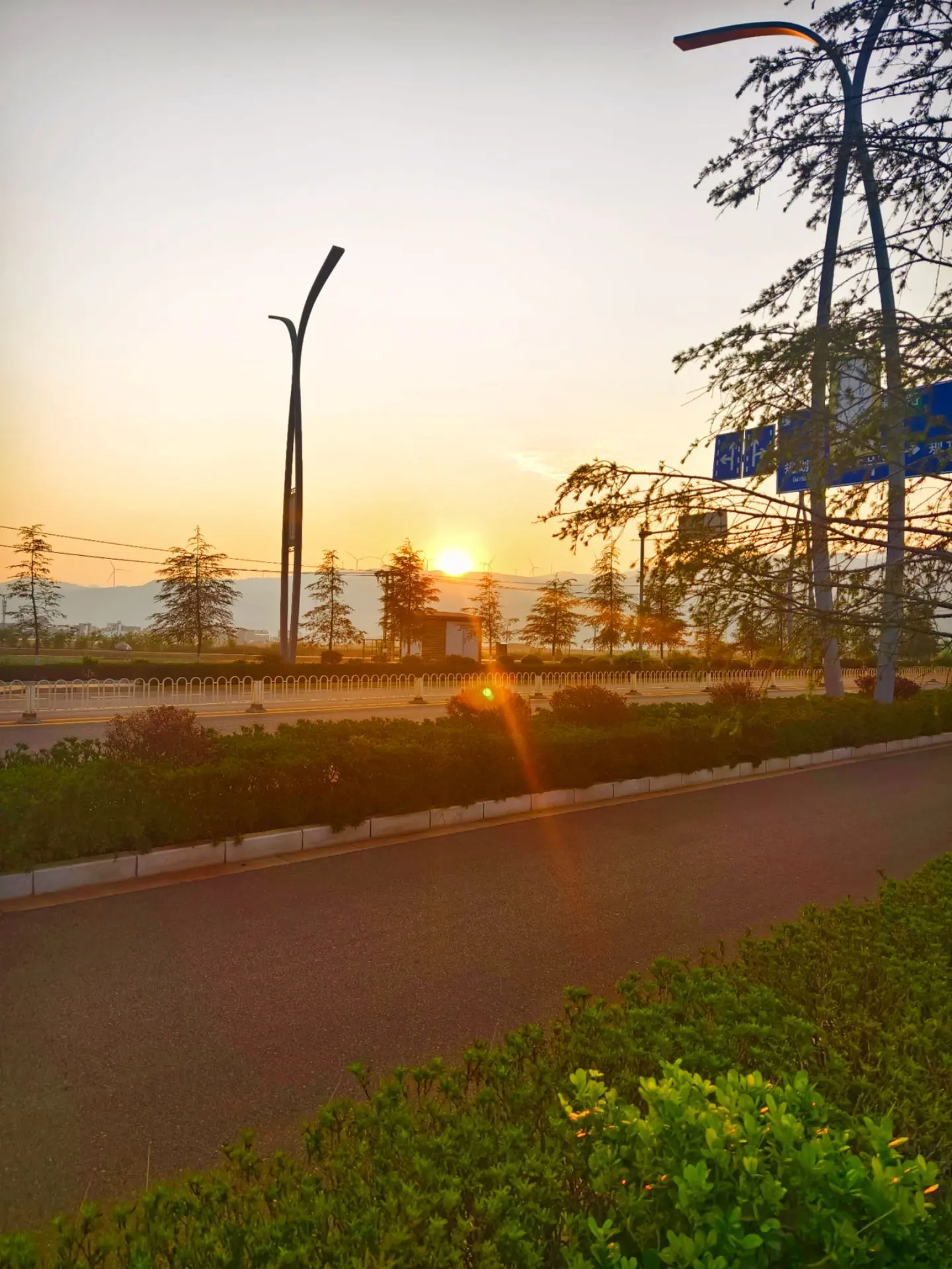 是清晨的第一缕阳光啊