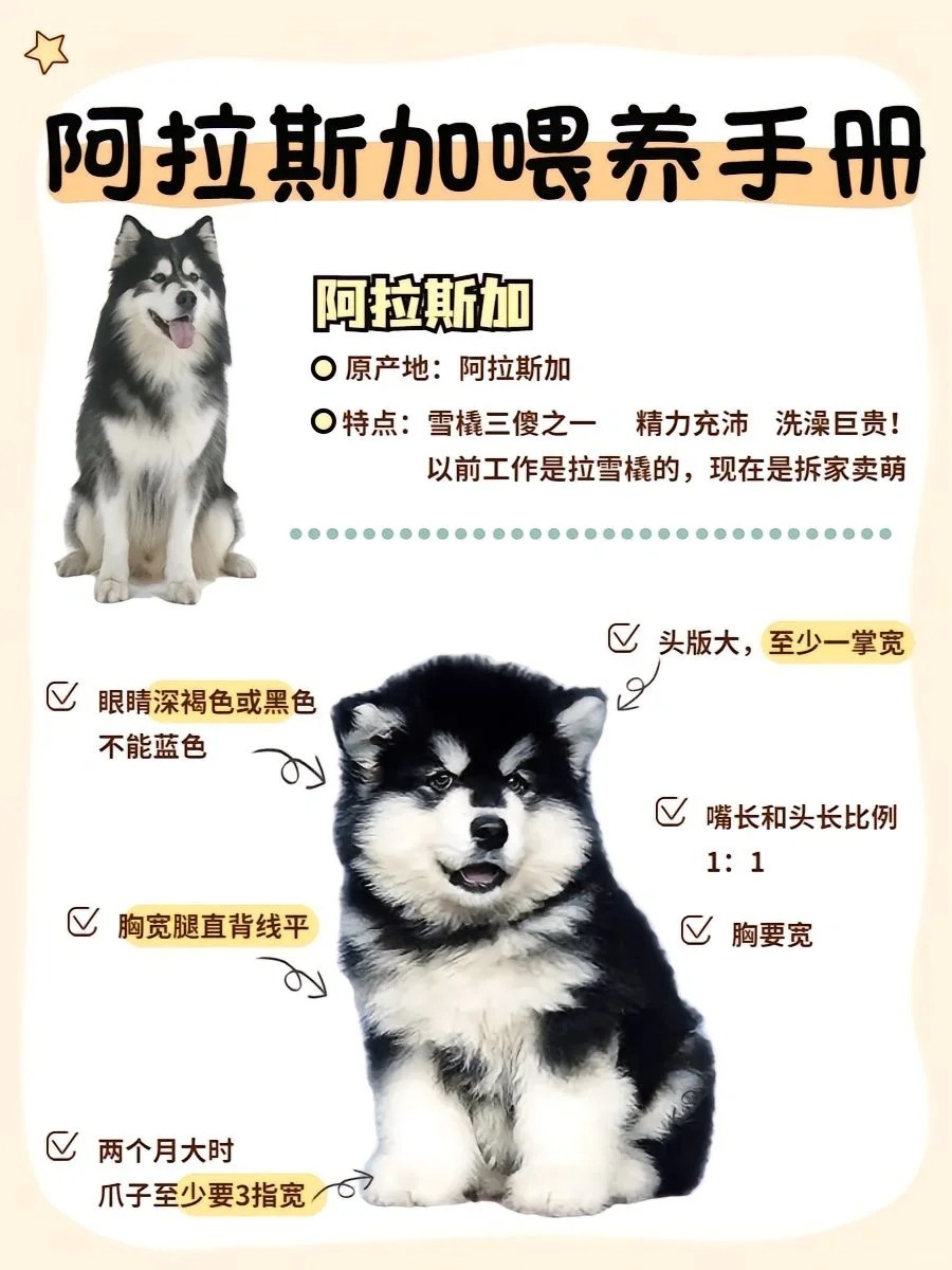俄罗斯卖阿拉斯加卖了多少钱一只