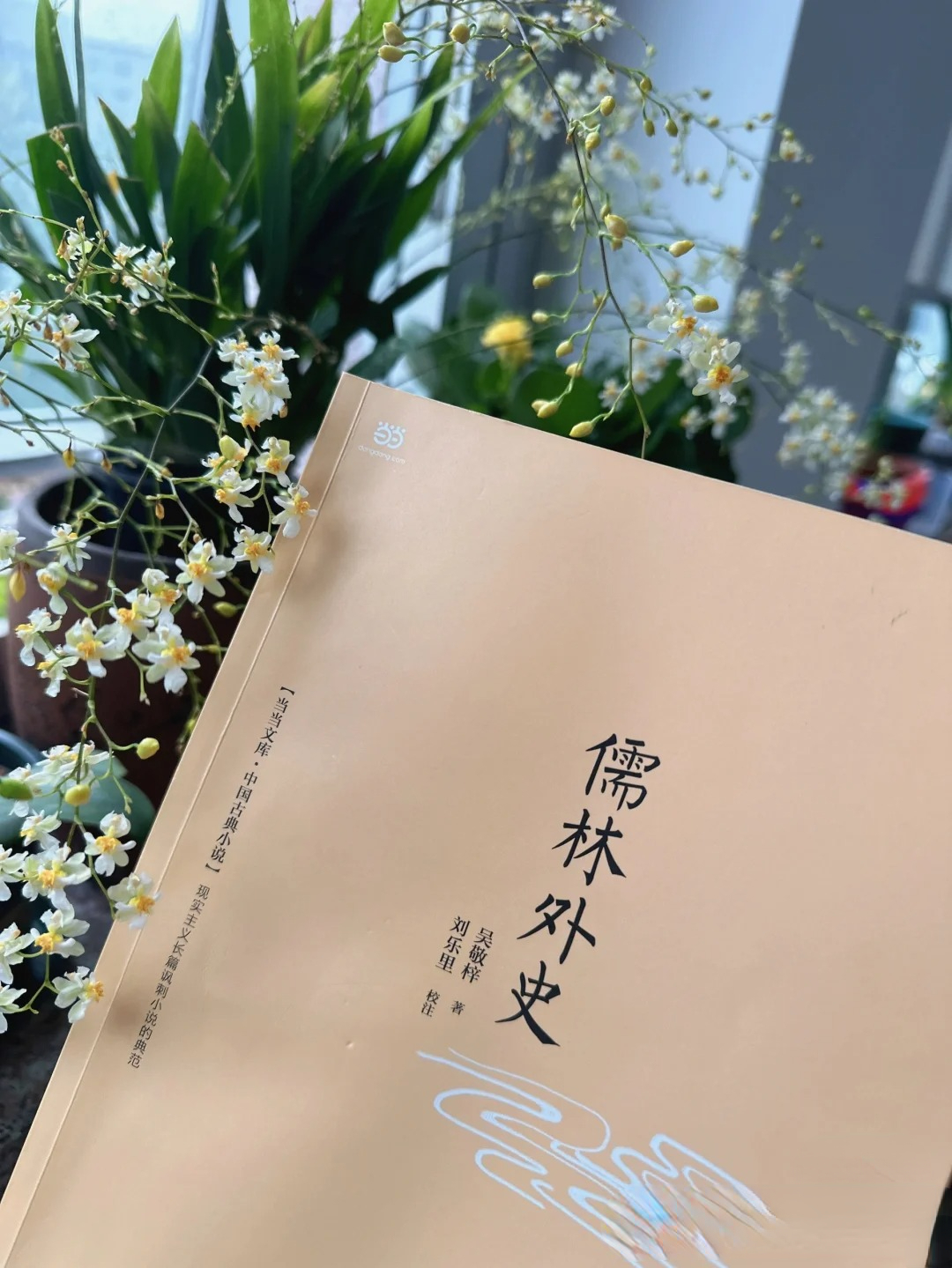 儒林外史牛浦郎的主要经历