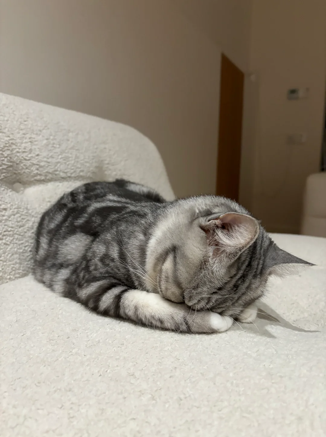 一只对我闭气就算了 现在怎么俩猫都闭啊