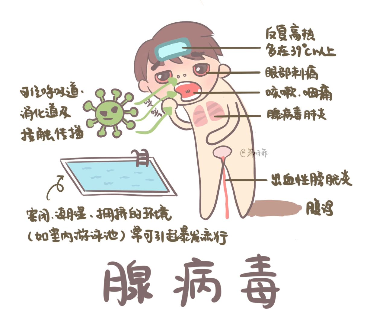 🦠😷腺病毒感染