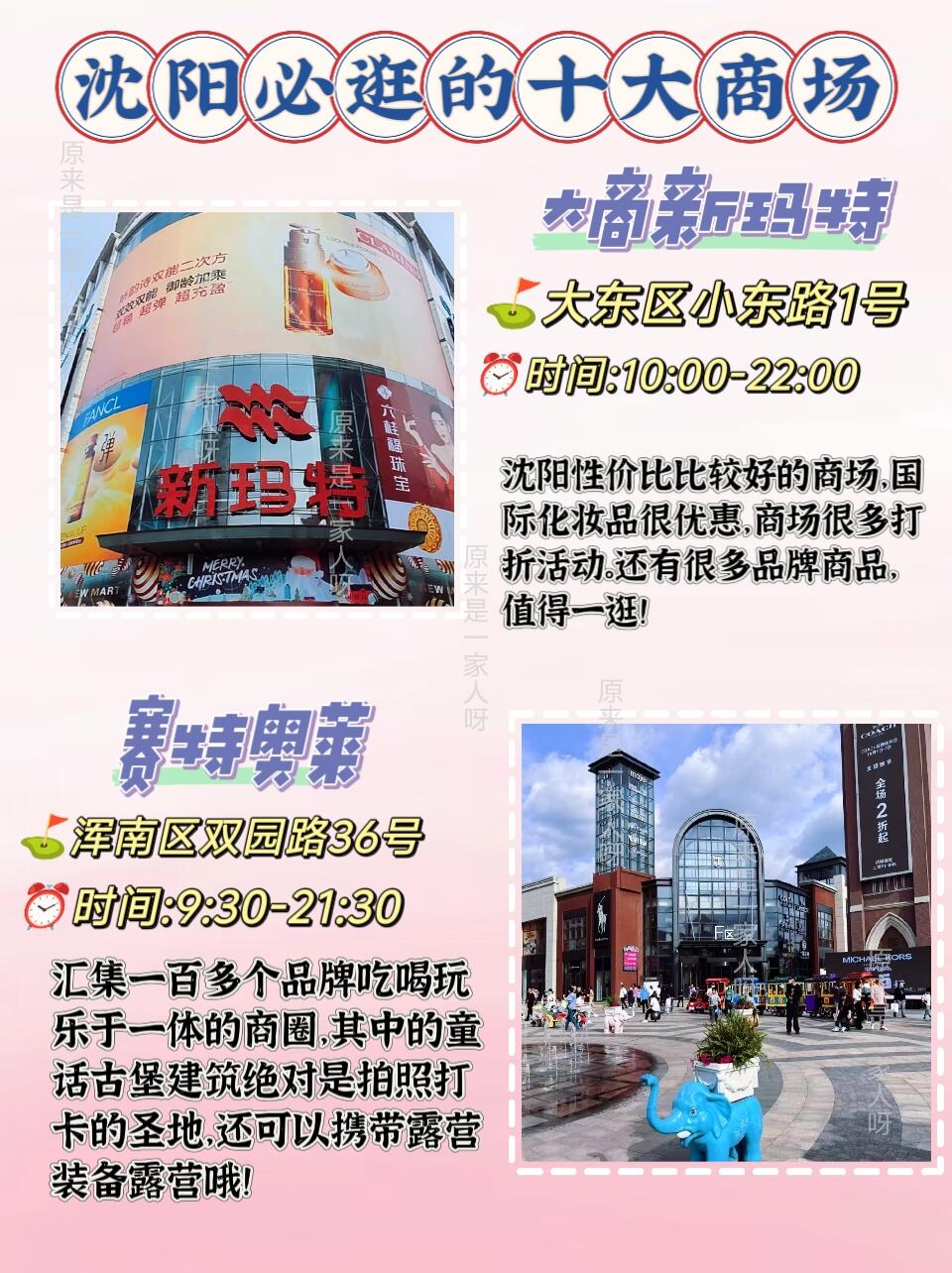 沈阳哪里批发花卉市场