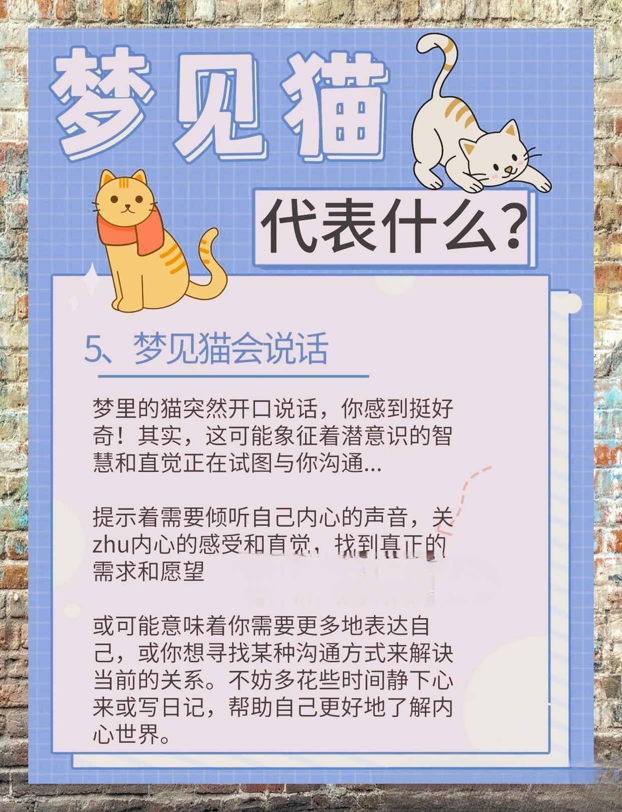 探索梦境的奥秘，求解梦梦见买猫了的深层含义