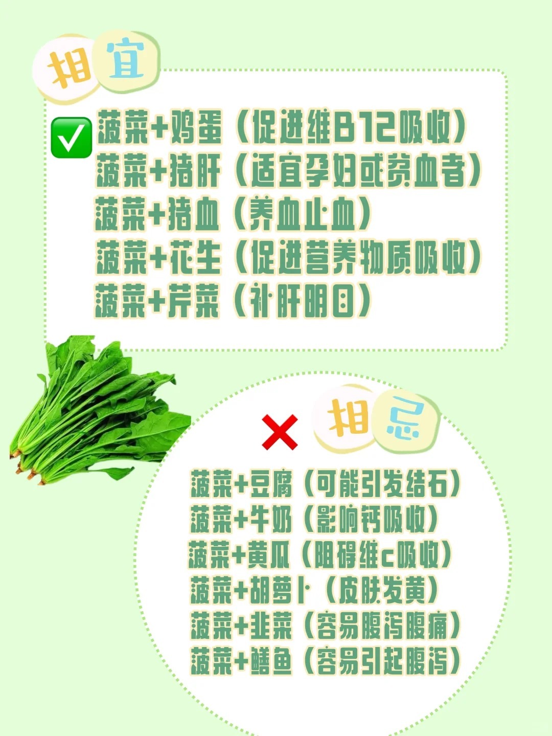 菠菜品质要求详解：从新鲜度到营养价值解析
