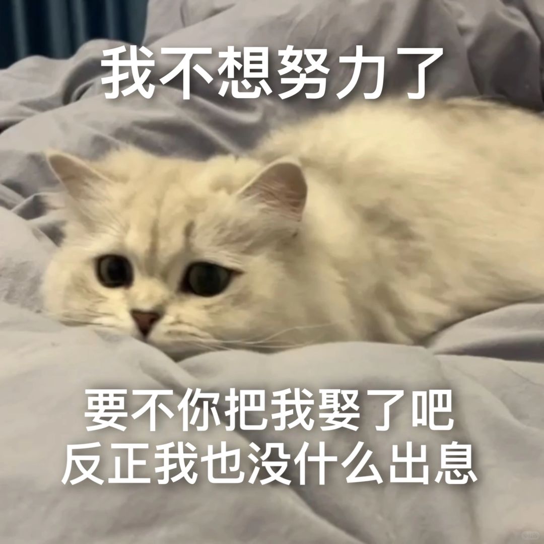 不想努力了！！