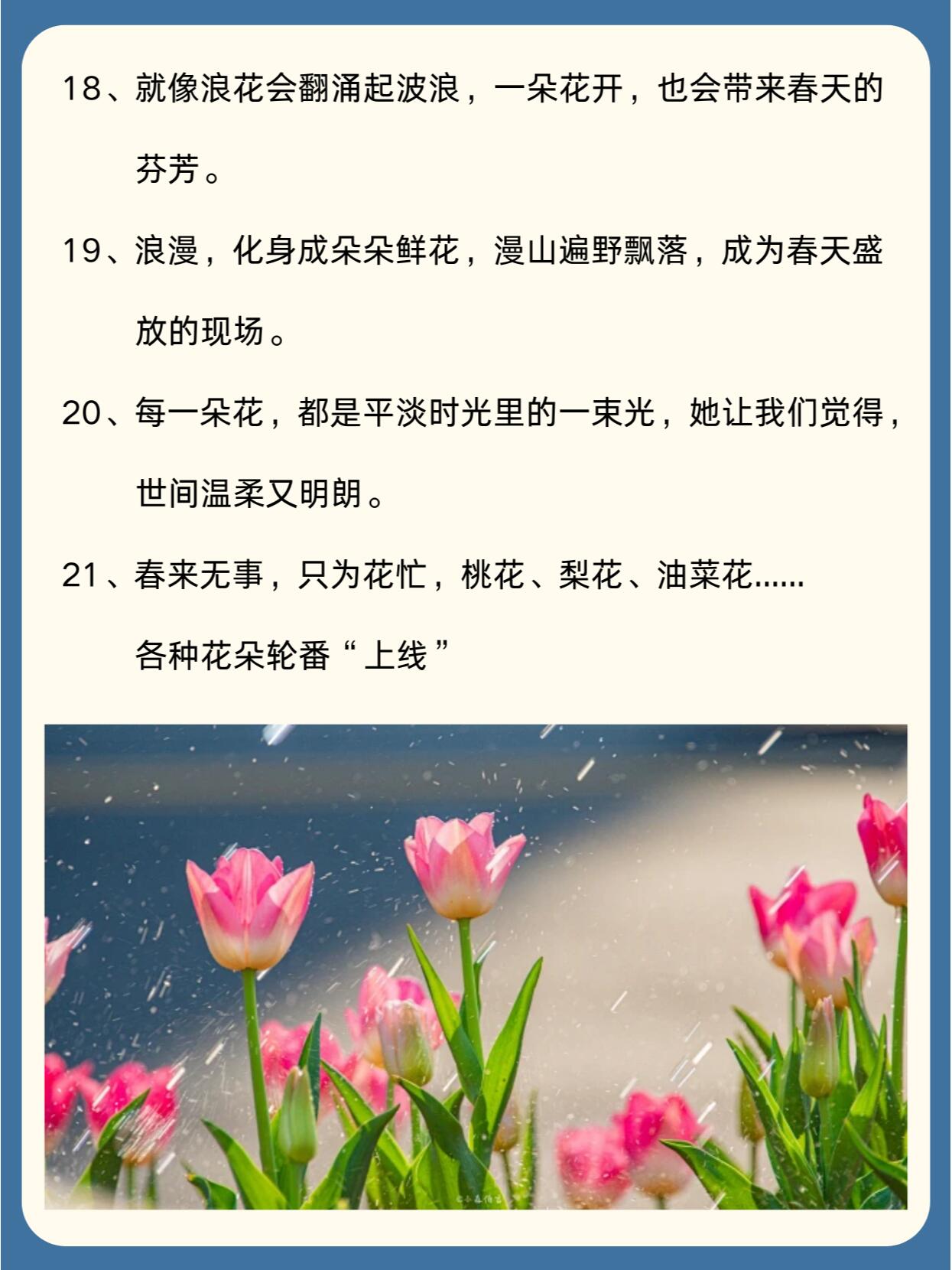 春天赏花朋友圈文案