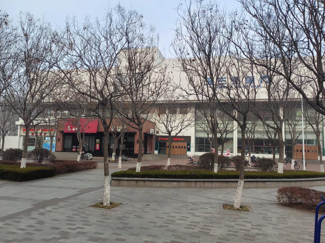 黄岛大学：校园美景与记忆