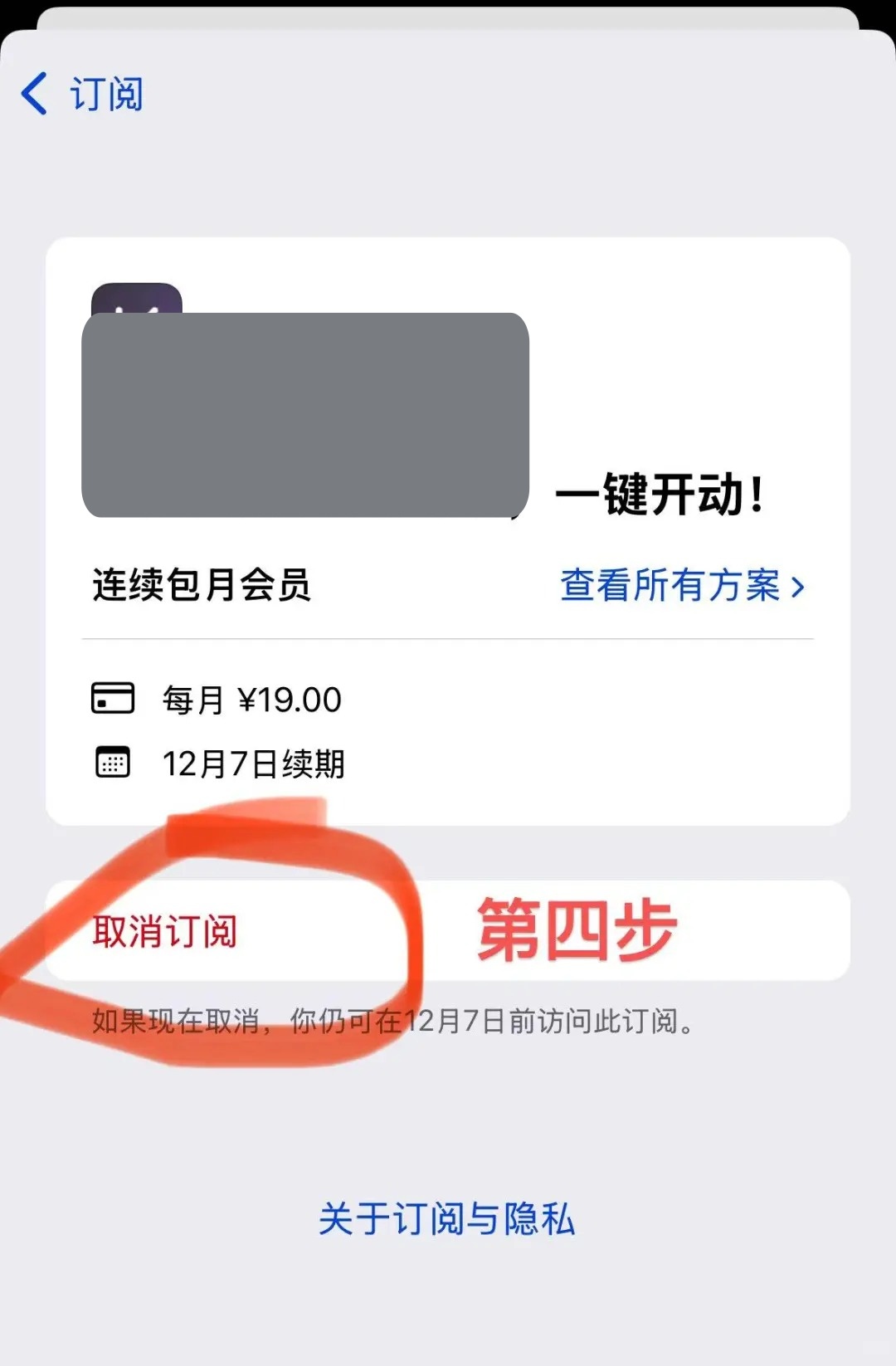 苹果购买空间怎么取消自动续费