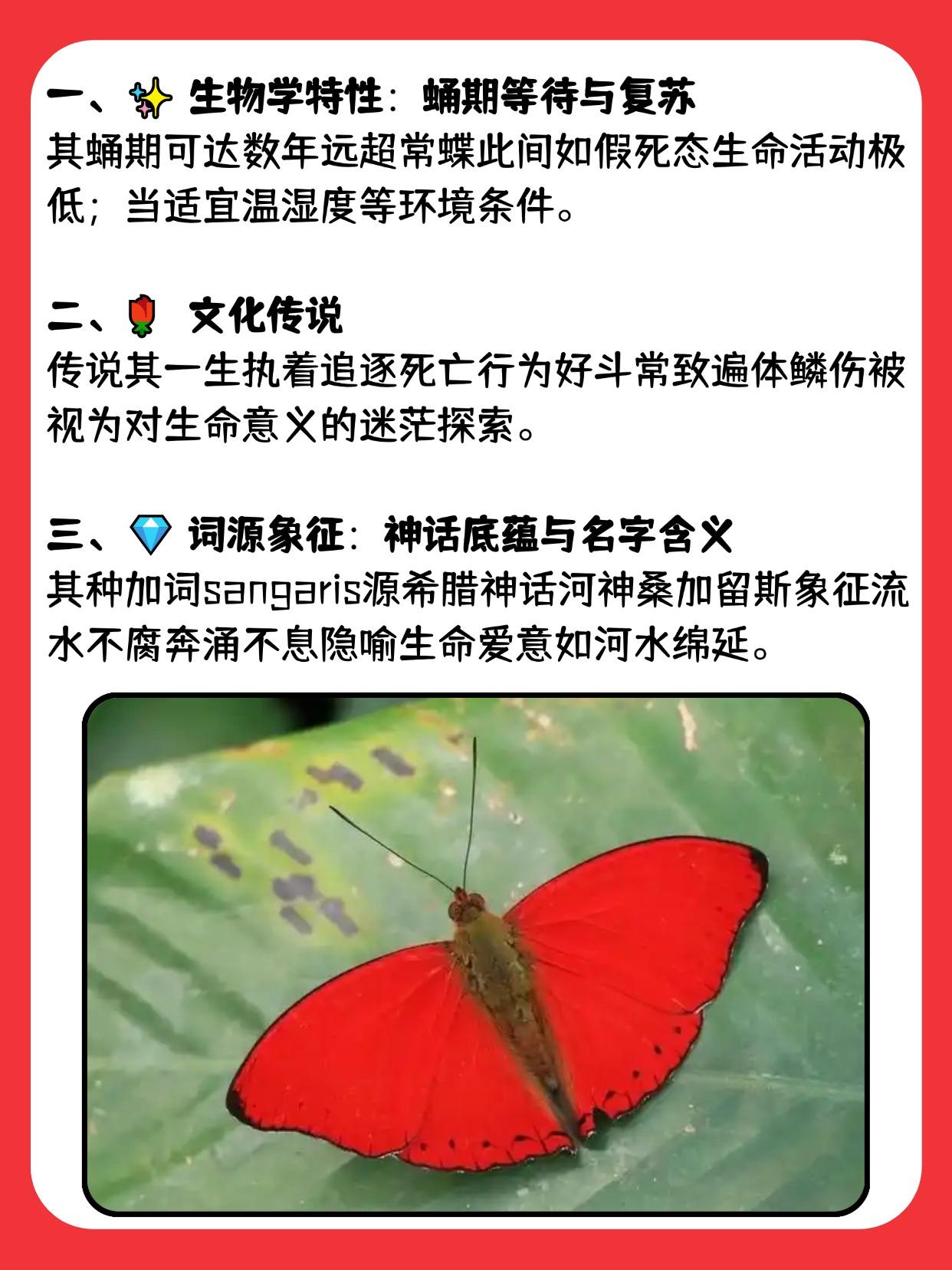 血漪蛱蝶为什么叫不死蝶？