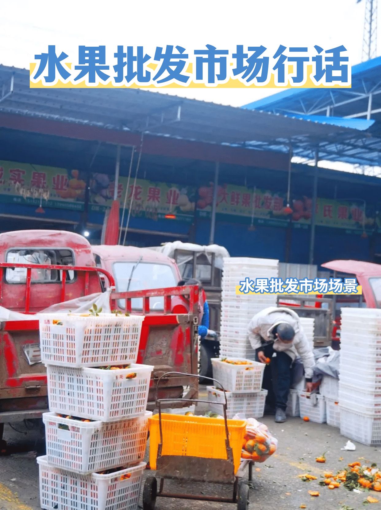 水果批发行话怎么说