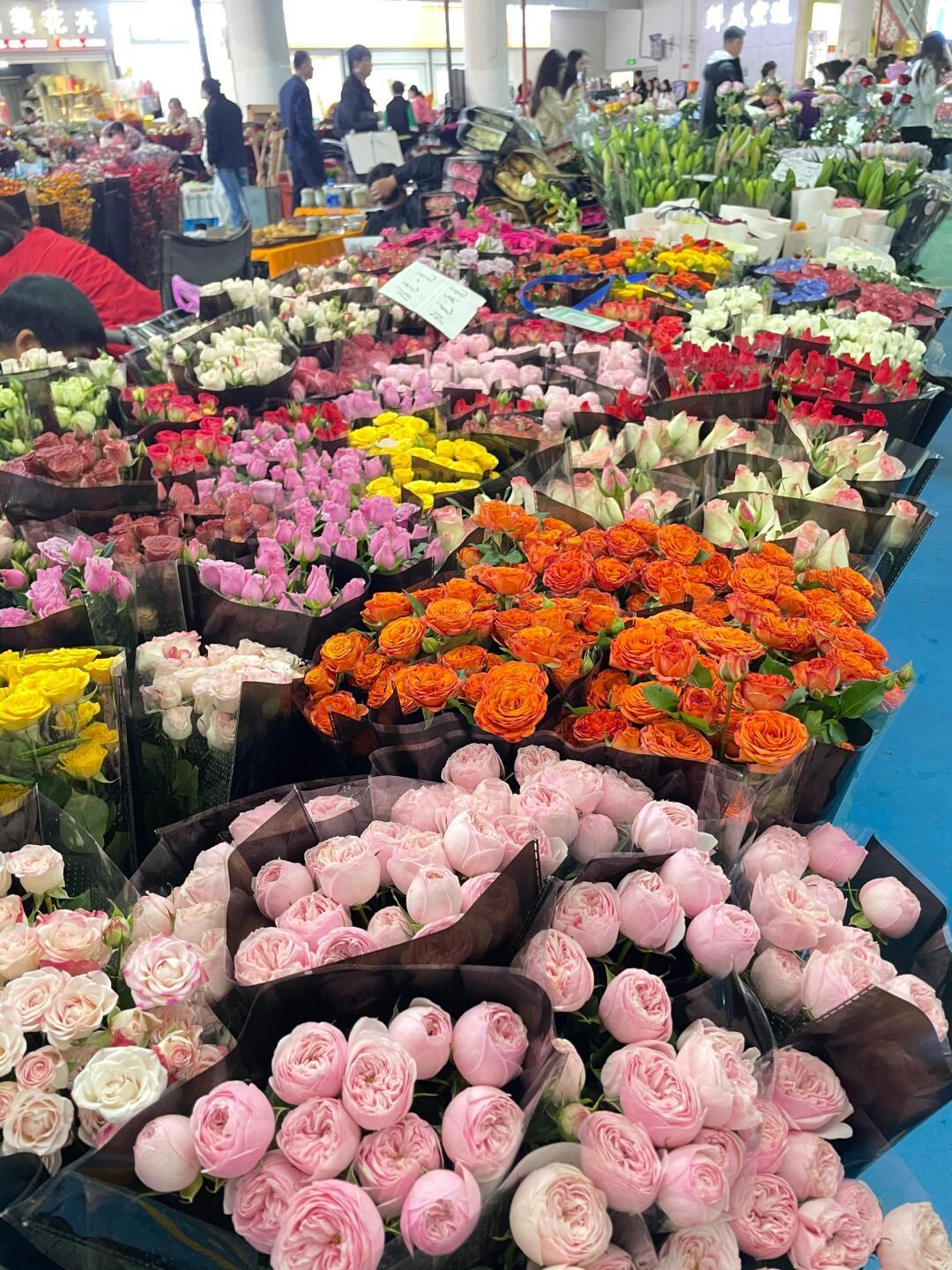 斗南花市鲜花批发攻略