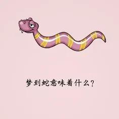 梦见自己过的路很多蛇，探索梦境中的深层含义与心理解析