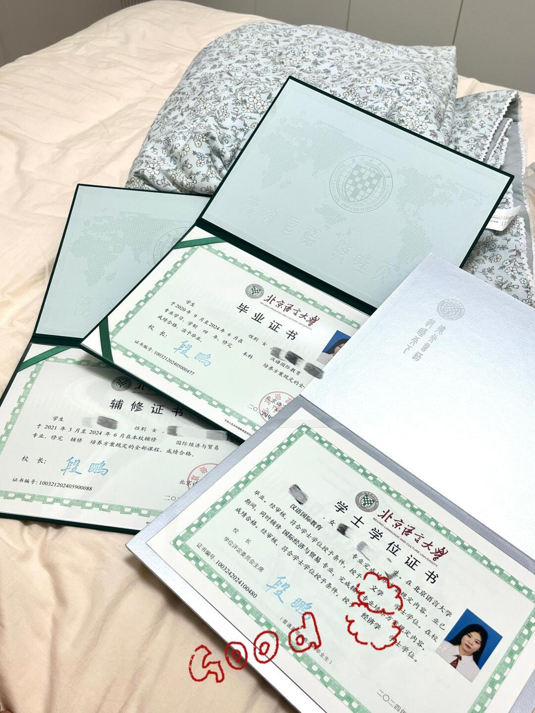 经济学学士：双学位毕业的喜悦与挑战