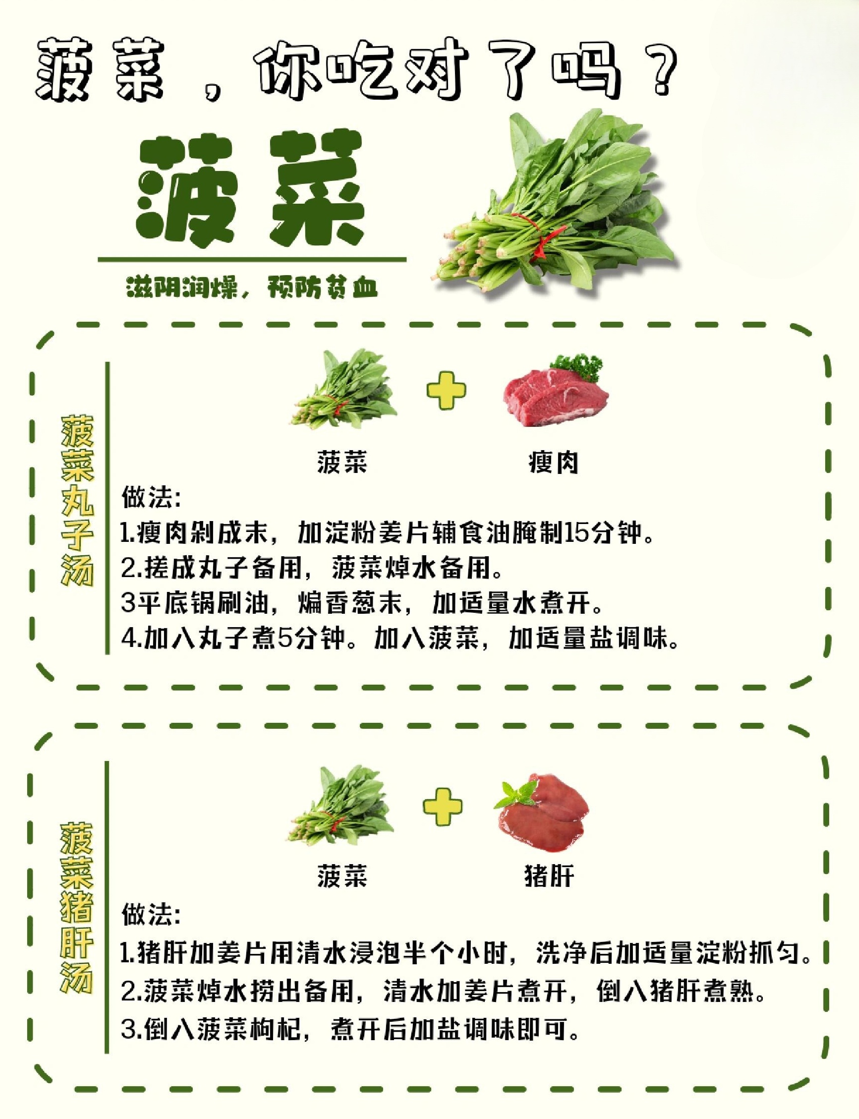 菠菜的营养成分详细介绍