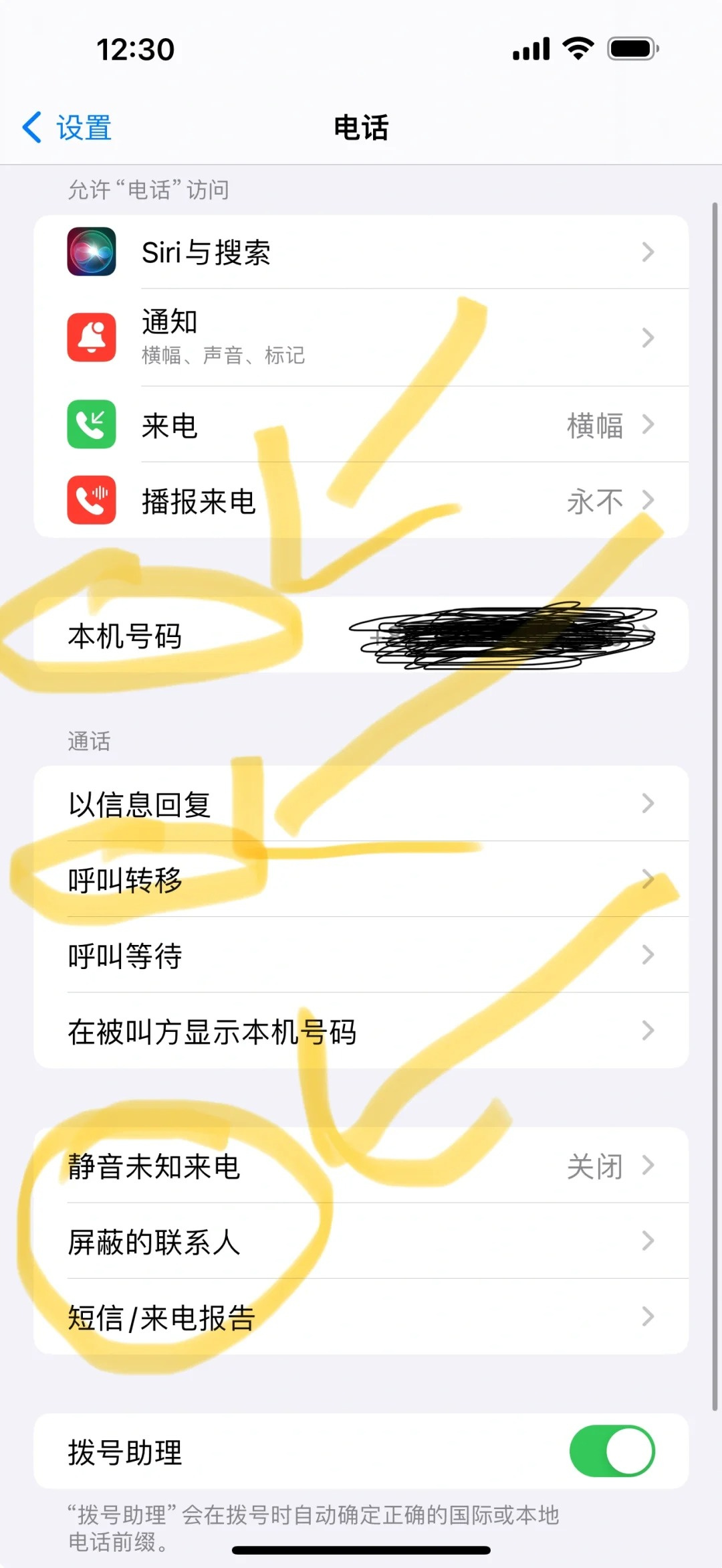 苹果手机接电话接不起来怎么回事