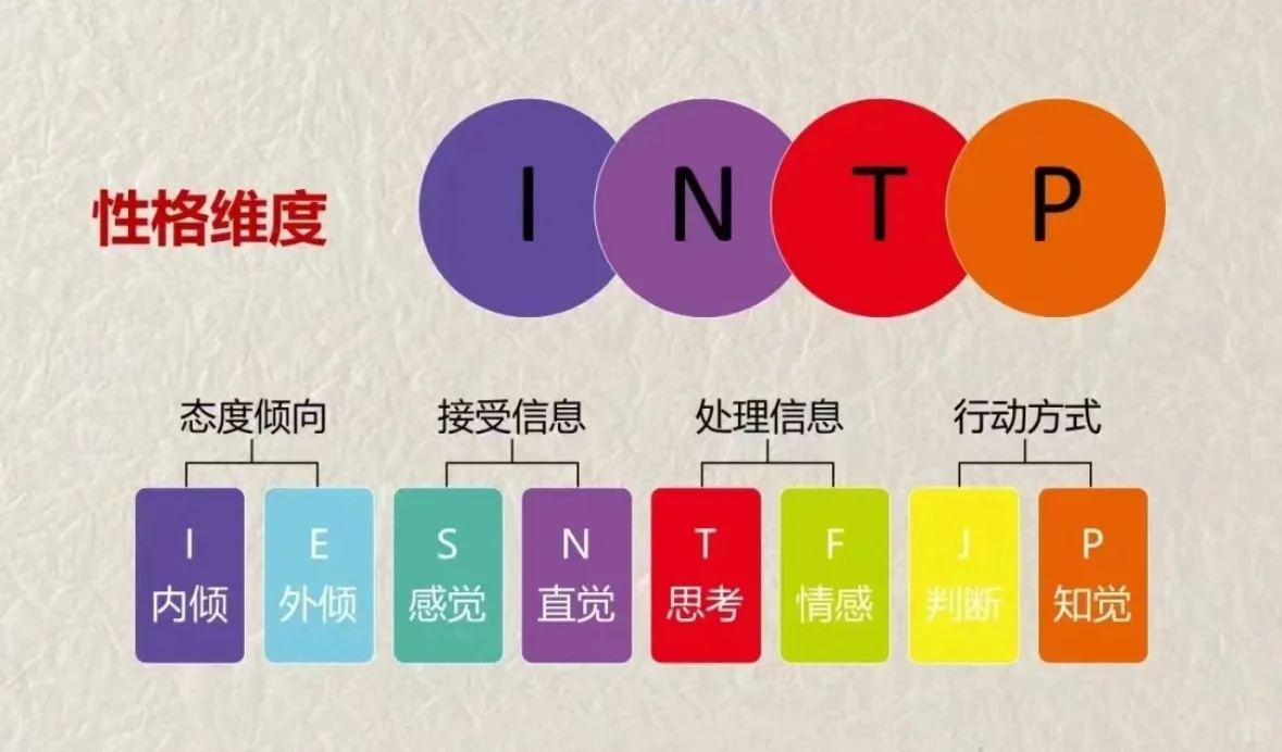 intp天生适合以网红为终生职业