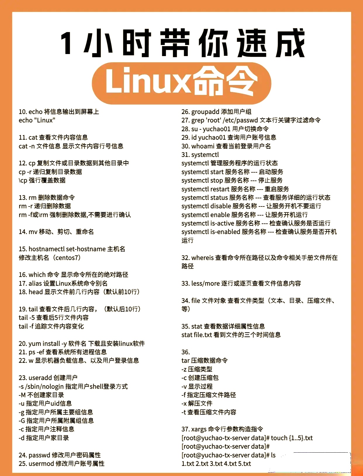 必须了解的linux命令有哪些内容  第1张