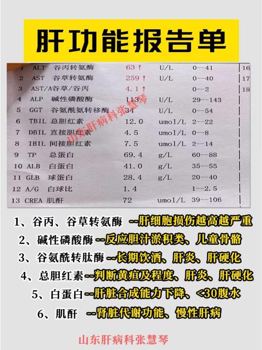 肝功能报告这样看，简单又易懂！