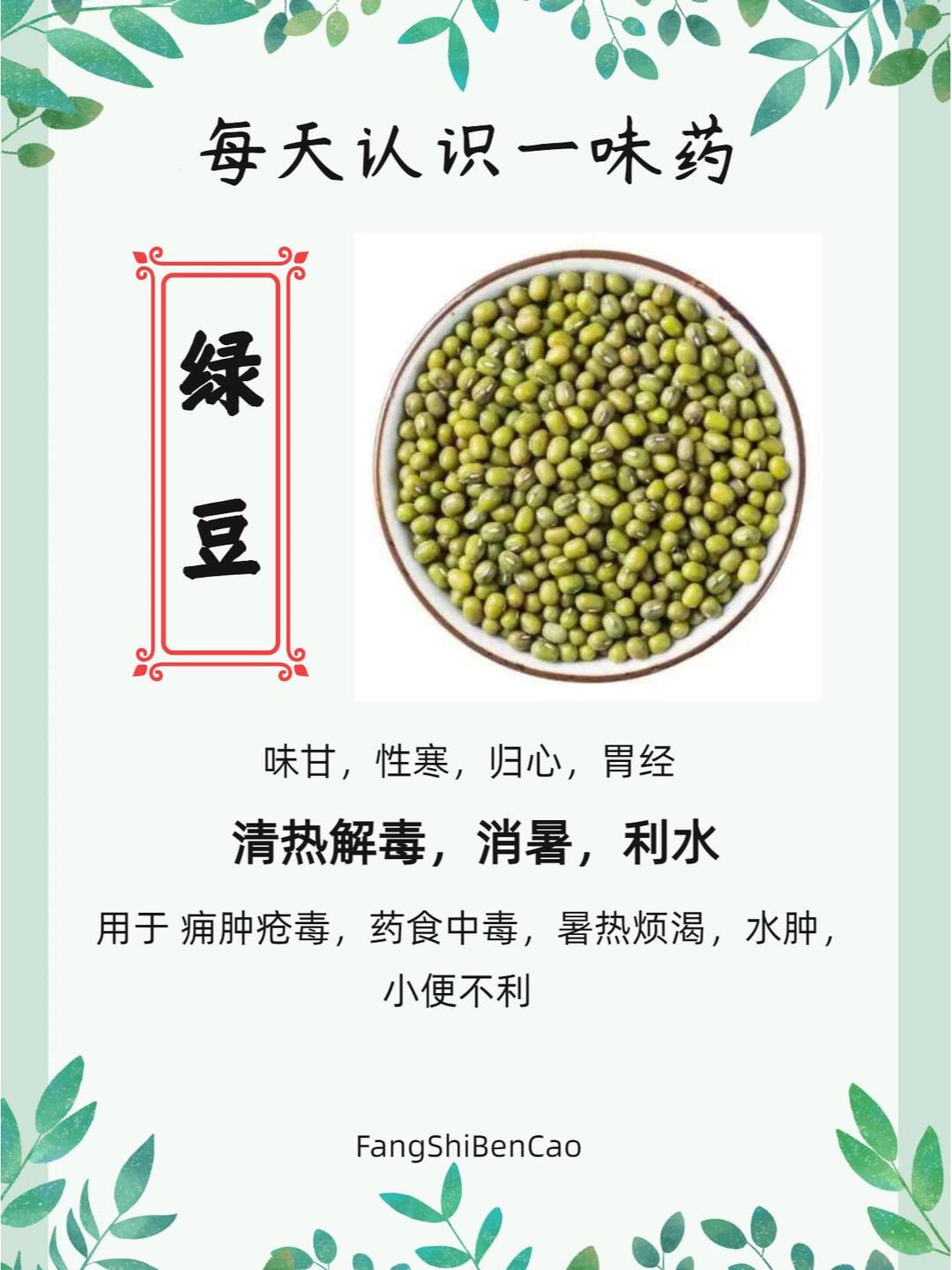 绿豆养生全攻略