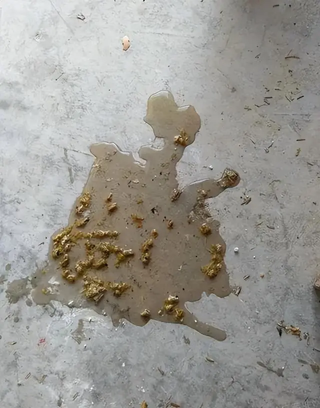 鸡拉稀水便是什么原因？鸡拉稀水便怎么办？