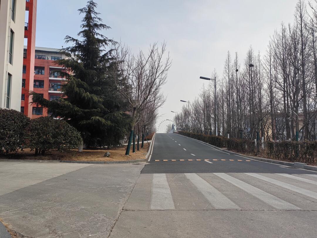 黄岛大学：校园美景与记忆