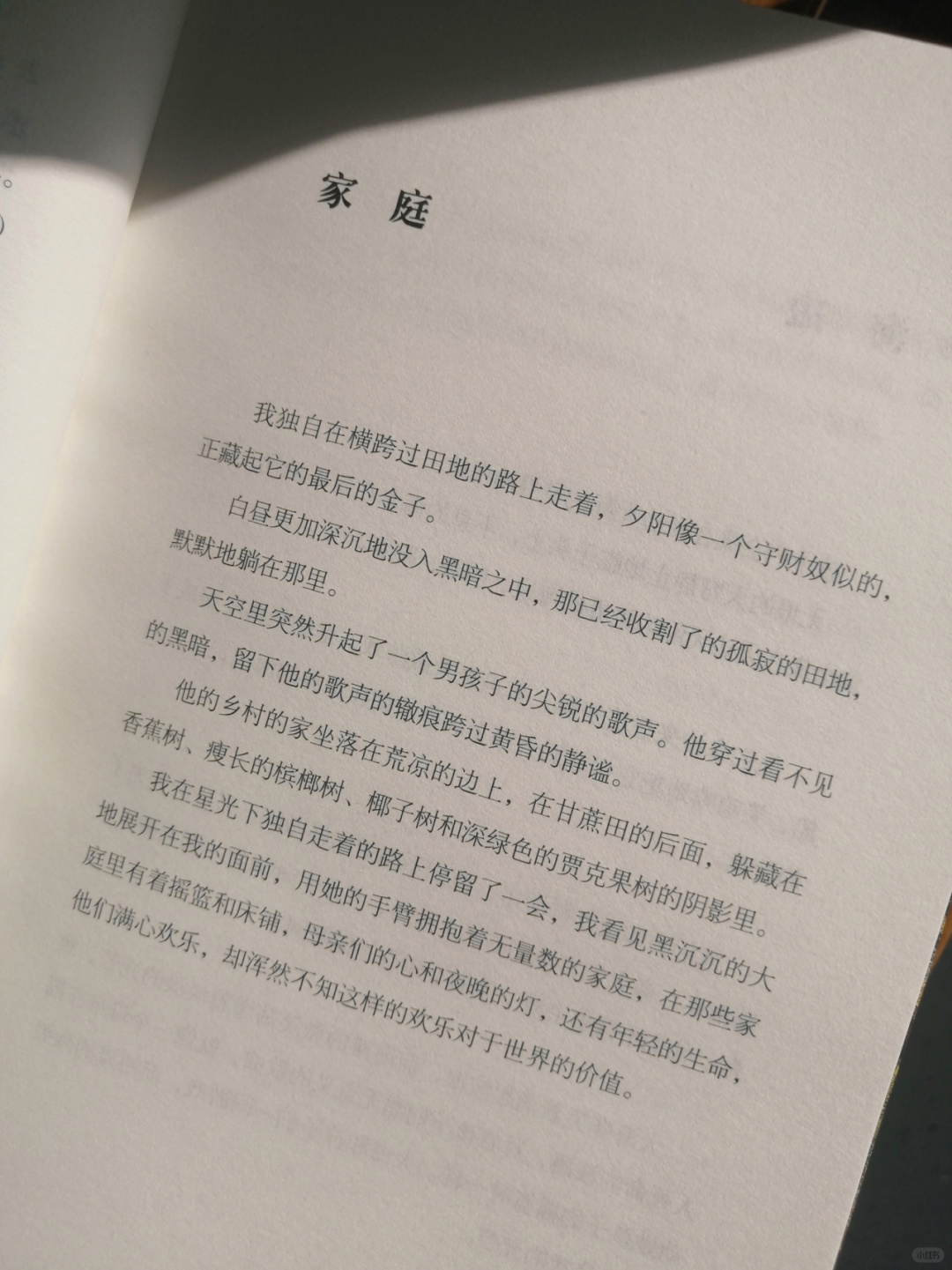 泰戈尔经典诗集美到全篇都想摘抄下来