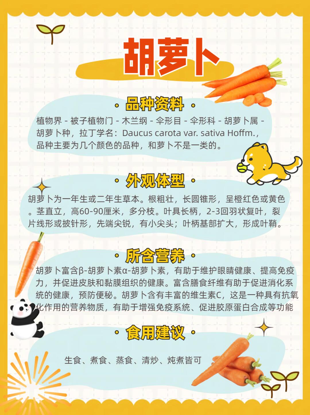 胡萝卜的营养价值与食用方法