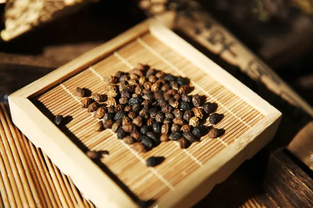 每天学一味中药，鸦胆子！