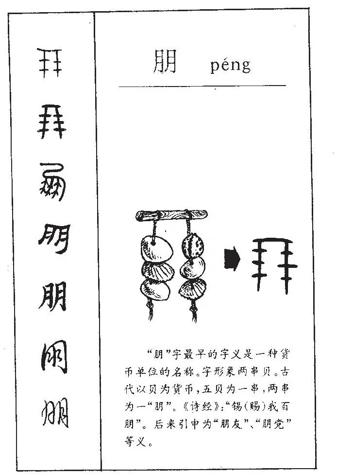 朋的释义和词组