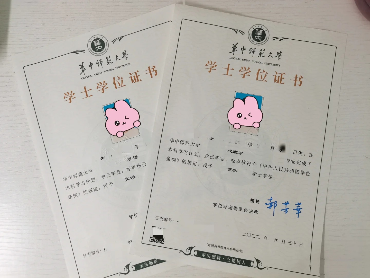 辅修学士学位是否有用