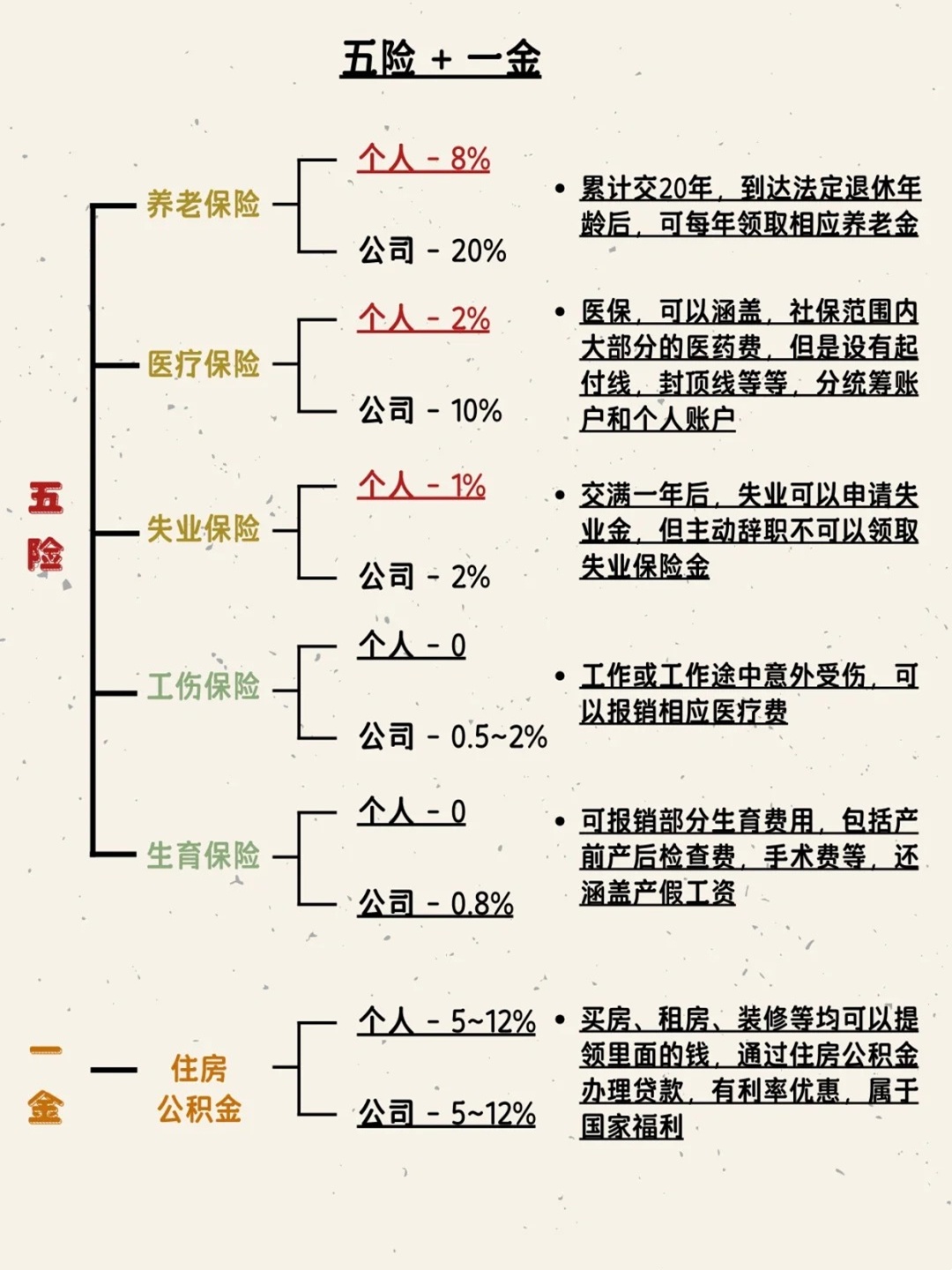 五险交多少钱